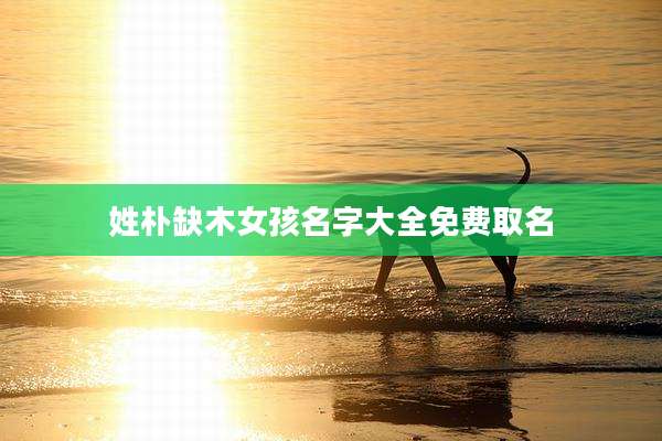 姓朴缺木女孩名字大全免费取名