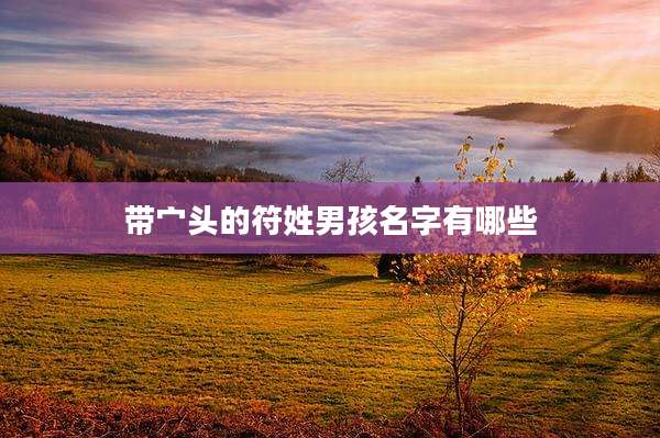 带宀头的符姓男孩名字有哪些
