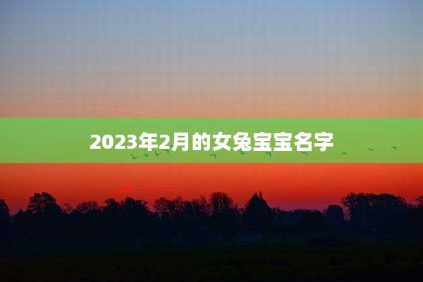 2023年2月的女兔宝宝名字