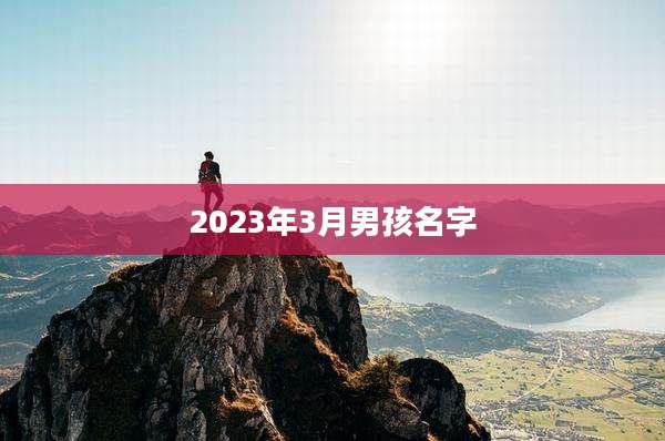 2023年3月男孩名字