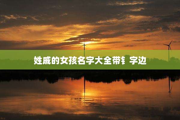 姓戚的女孩名字大全带钅字边