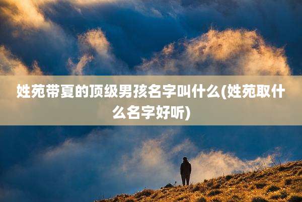 姓苑带夏的顶级男孩名字叫什么(姓苑取什么名字好听)