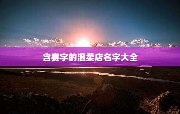 含赛字的温柔店名字大全