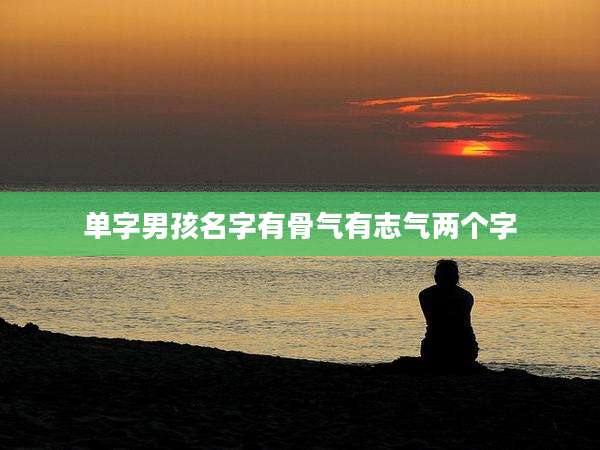 单字男孩名字有骨气有志气两个字