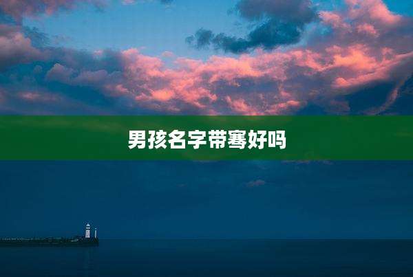 男孩名字带骞好吗