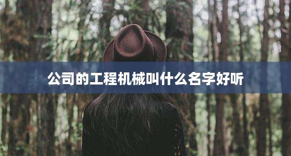 公司的工程机械叫什么名字好听