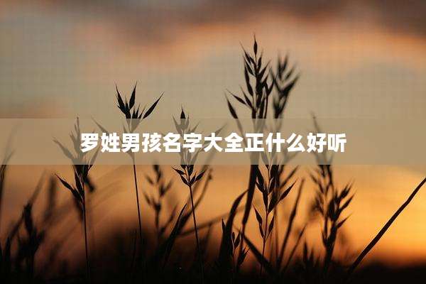 罗姓男孩名字大全正什么好听