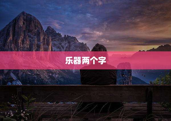 乐器两个字