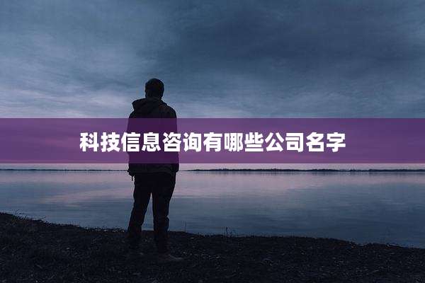 科技信息咨询有哪些公司名字