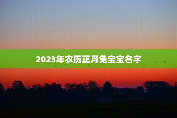 2023年农历正月兔宝宝名字
