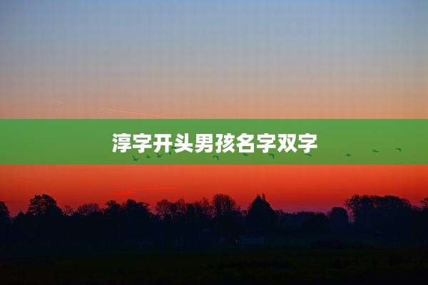 淳字开头男孩名字双字