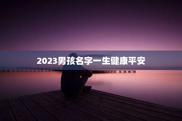 2023男孩名字一生健康平安