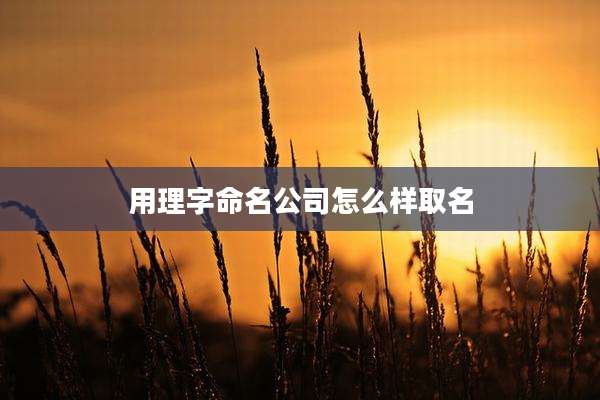 用理字命名公司怎么样取名