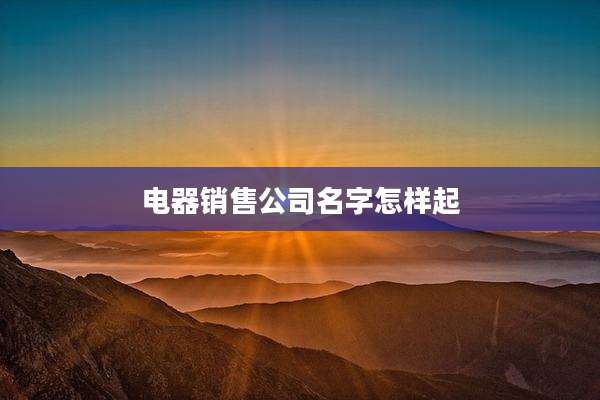 电器销售公司名字怎样起