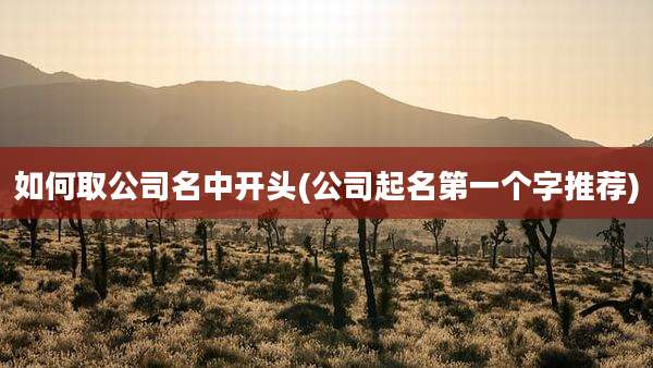 如何取公司名中开头(公司起名第一个字推荐)