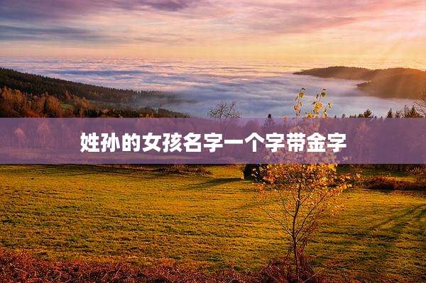 姓孙的女孩名字一个字带金字