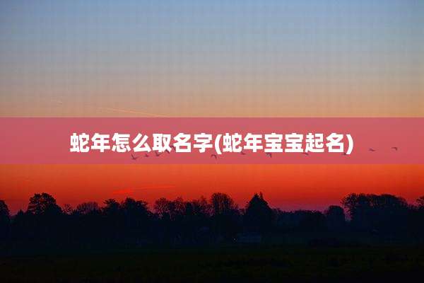 蛇年怎么取名字(蛇年宝宝起名)