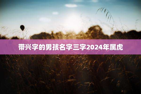 带兴字的男孩名字三字2024年属虎