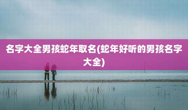 名字大全男孩蛇年取名(蛇年好听的男孩名字大全)
