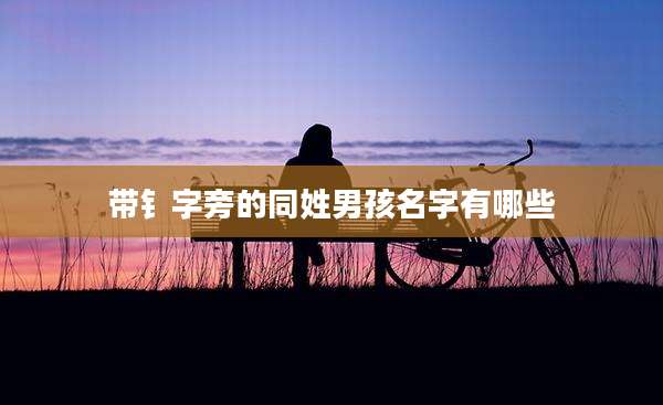 带钅字旁的同姓男孩名字有哪些