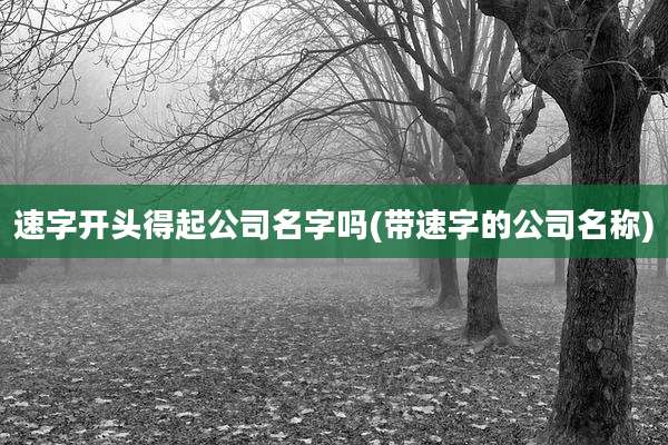 速字开头得起公司名字吗(带速字的公司名称)
