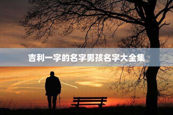 吉利一字的名字男孩名字大全集