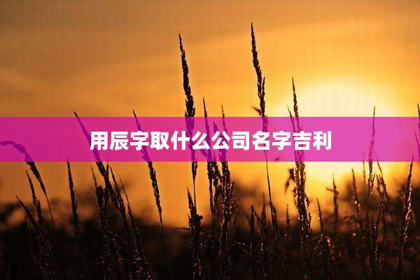 用辰字取什么公司名字吉利