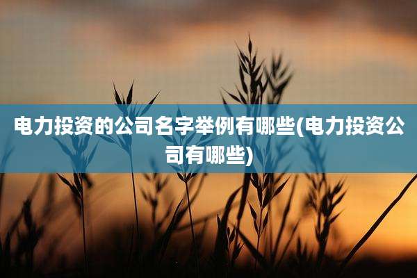 电力投资的公司名字举例有哪些(电力投资公司有哪些)