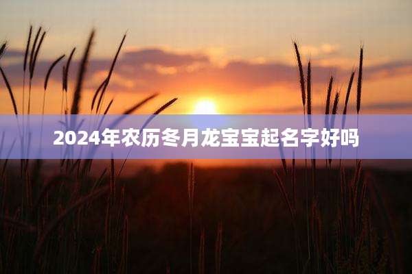 2024年农历冬月龙宝宝起名字好吗