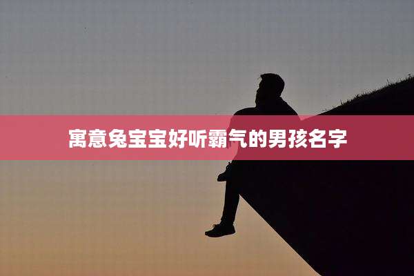 寓意兔宝宝好听霸气的男孩名字