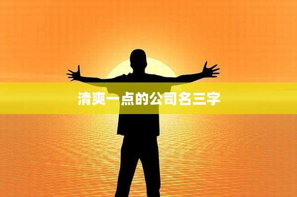清爽一点的公司名三字