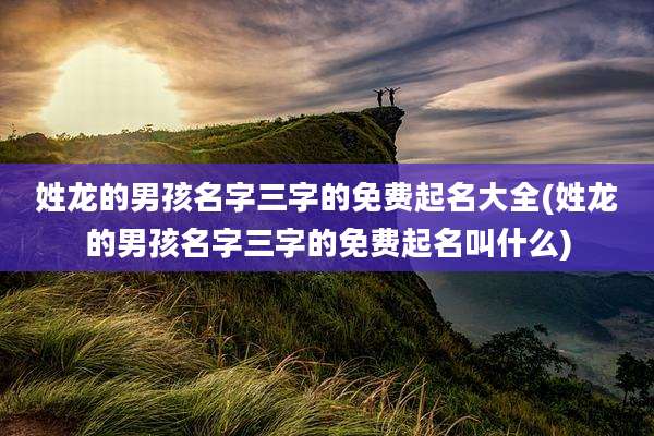 姓龙的男孩名字三字的免费起名大全(姓龙的男孩名字三字的免费起名叫什么)
