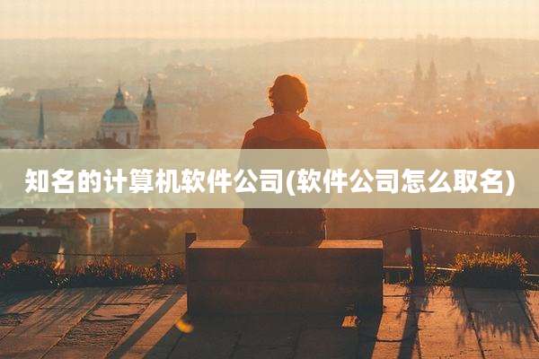 知名的计算机软件公司(软件公司怎么取名)