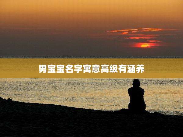 男宝宝名字寓意高级有涵养