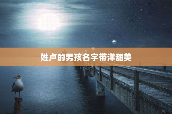 姓卢的男孩名字带洋甜美