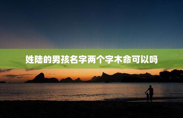 姓陆的男孩名字两个字木命可以吗