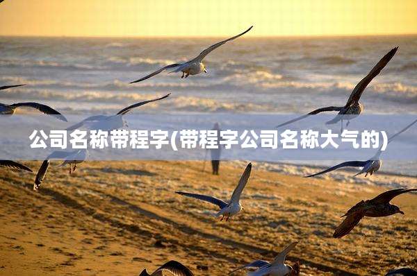 公司名称带程字(带程字公司名称大气的)