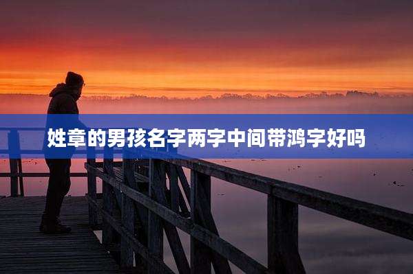 姓章的男孩名字两字中间带鸿字好吗