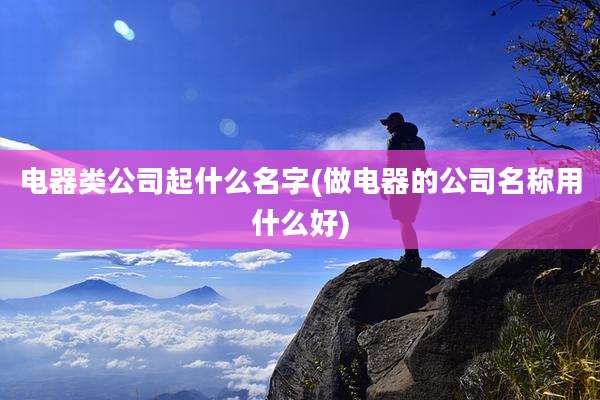 电器类公司起什么名字(做电器的公司名称用什么好)
