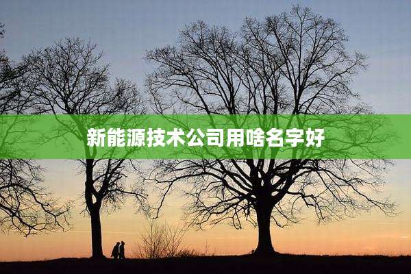 新能源技术公司用啥名字好