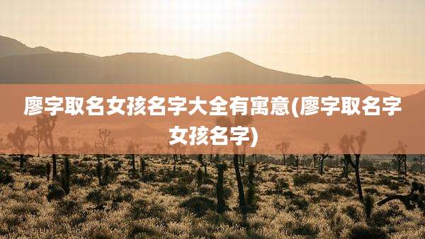 廖字取名女孩名字大全有寓意(廖字取名字女孩名字)
