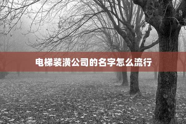 电梯装潢公司的名字怎么流行