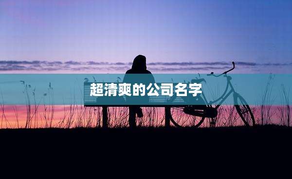 超清爽的公司名字