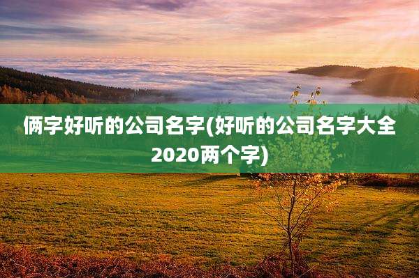 俩字好听的公司名字(好听的公司名字大全2020两个字)