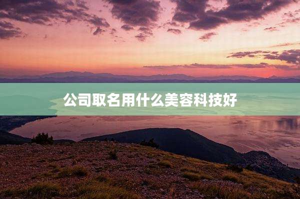 公司取名用什么美容科技好