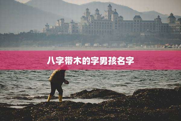 八字带木的字男孩名字