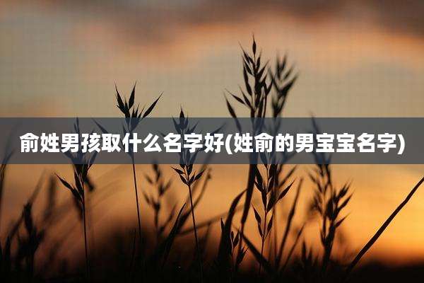 俞姓男孩取什么名字好(姓俞的男宝宝名字)
