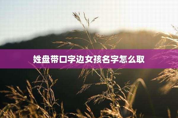 姓盘带口字边女孩名字怎么取