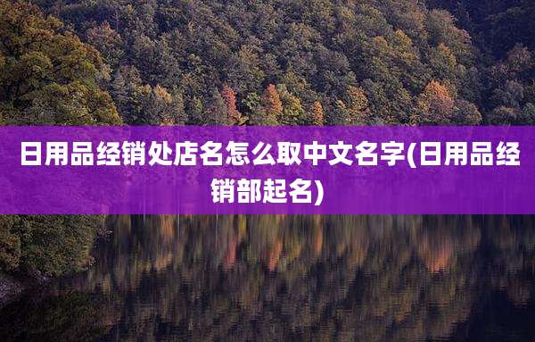 日用品经销处店名怎么取中文名字(日用品经销部起名)
