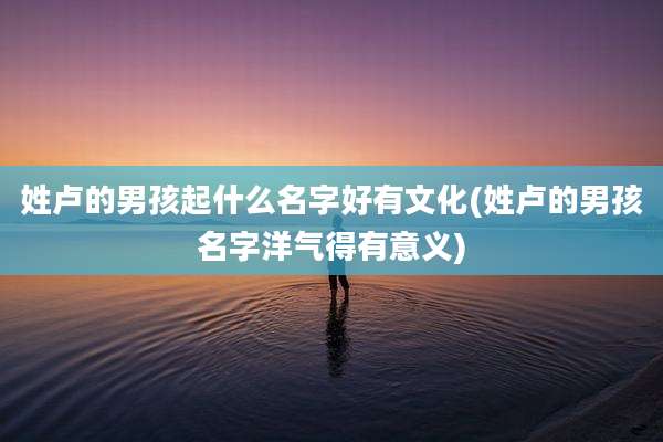 姓卢的男孩起什么名字好有文化(姓卢的男孩名字洋气得有意义)